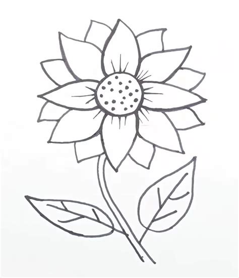 paano mag drawing ng flower|How to draw a sunflower easily .